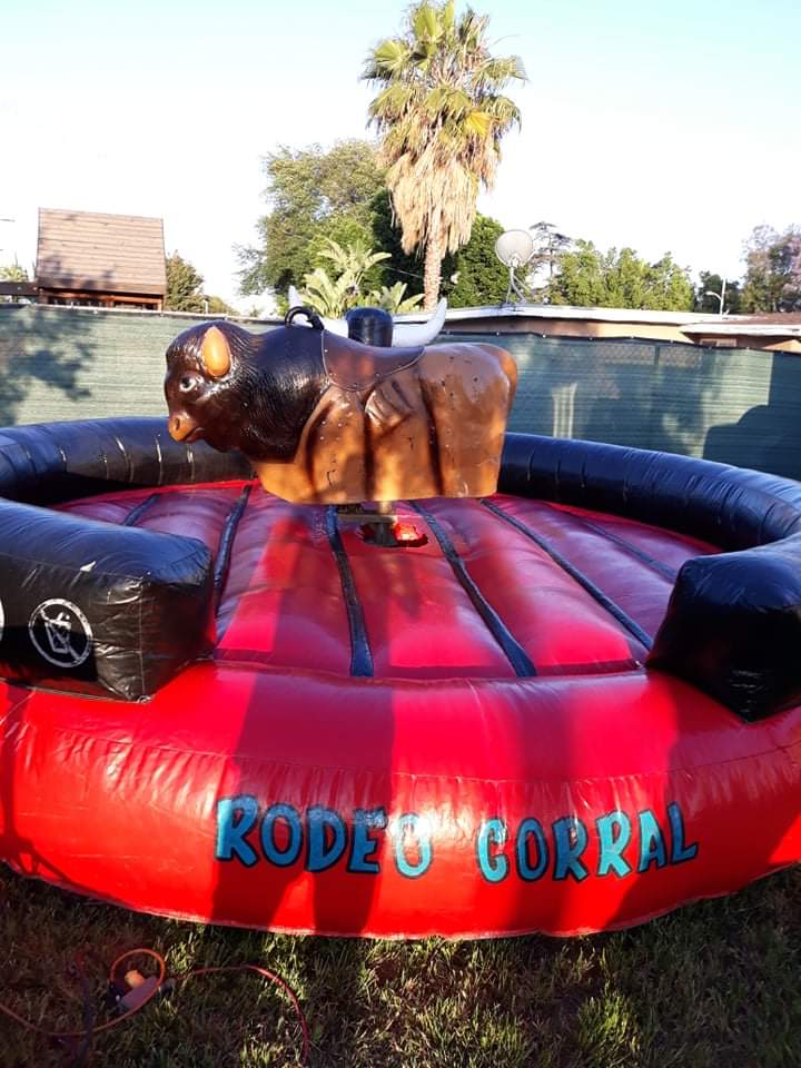 Party Bull Rental